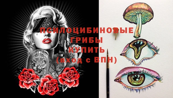 твердый Иннополис