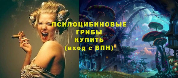 spice Арсеньев