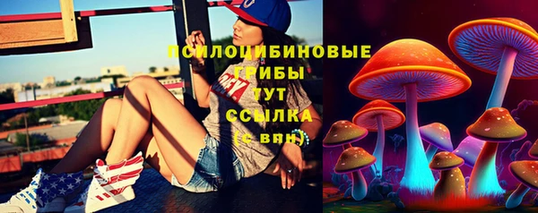 spice Арсеньев