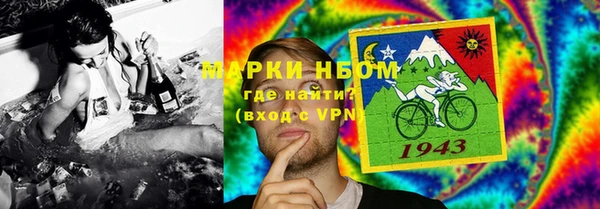 крисы Каменка