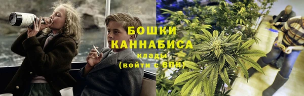 spice Арсеньев