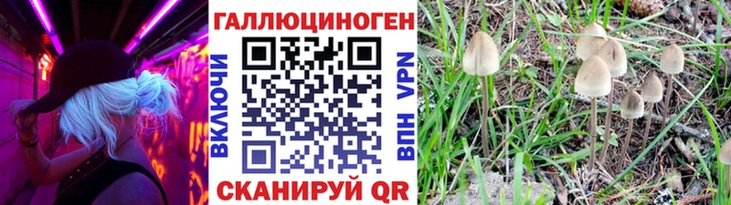 Псилоцибиновые грибы MAGIC MUSHROOMS  гидра tor  Сосенский 